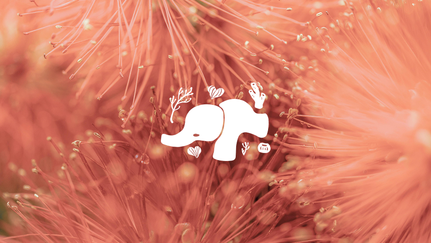 CORAL PATH